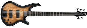 1609410750990-Ibanez GSR205SM-NGT 5 String Natural Grey Burst Bass Guitar.png
